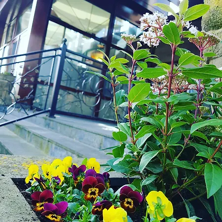 Hotel Den Helder 3* Den Helder