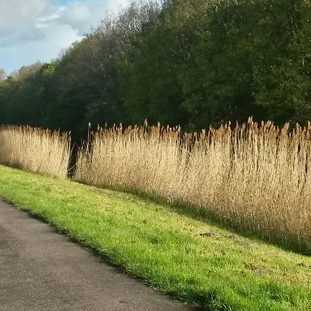 Hotel Hotel Den Helder 3*