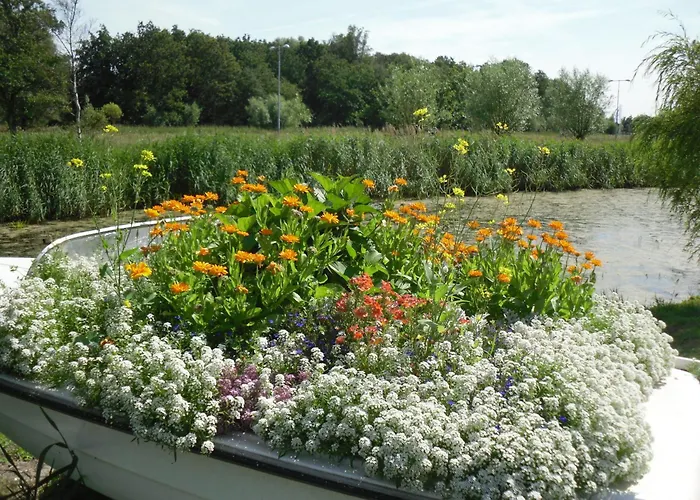 Hotel Hotel Den Helder