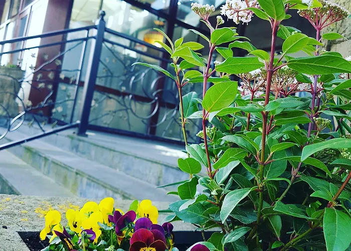 Hotel Den Helder 3* Den Helder