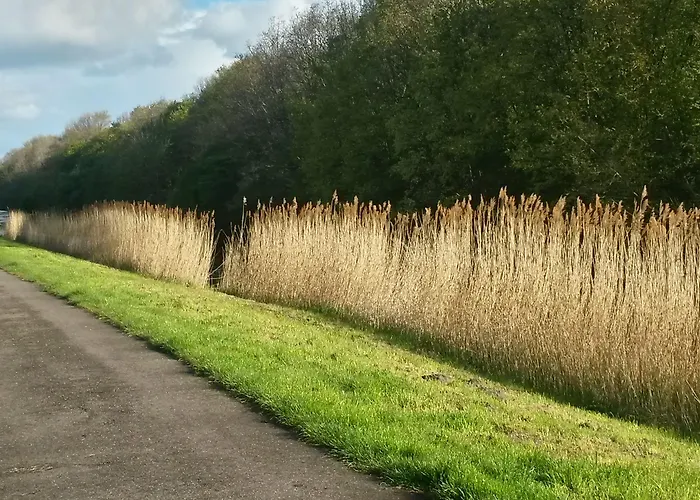 Hotel Hotel Den Helder 3*